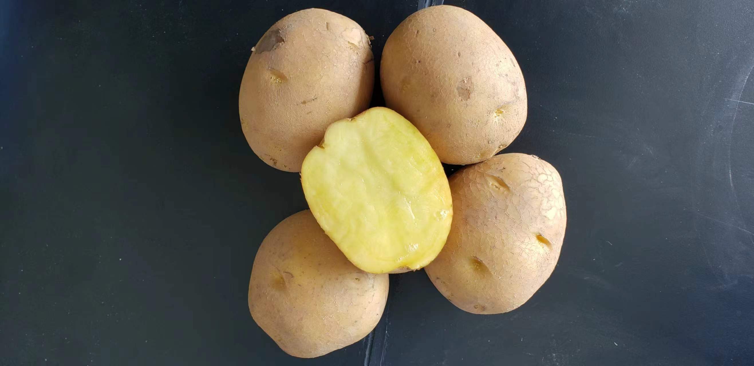 c5196686da38fbad22b7c9fe05be6938