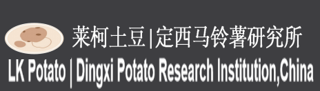 莱柯土豆 | LK potato