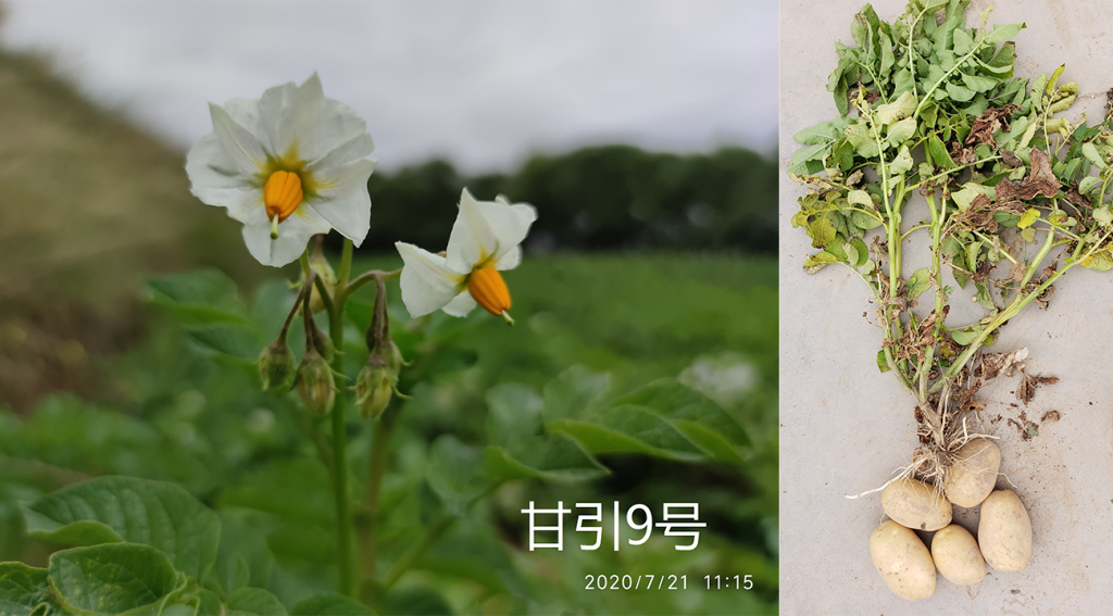 图片上传尺寸-003