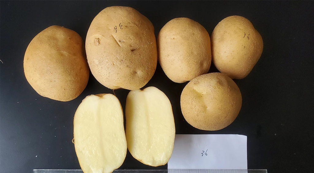 图片上传尺寸-01