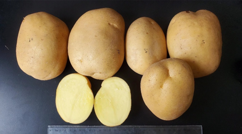 图片上传尺寸-01