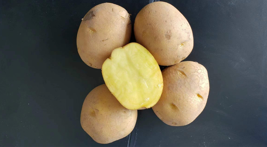 图片上传尺寸-02