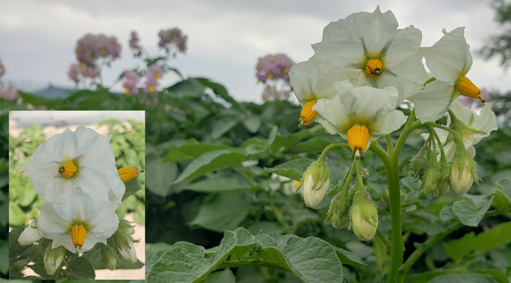 图片上传尺寸-02