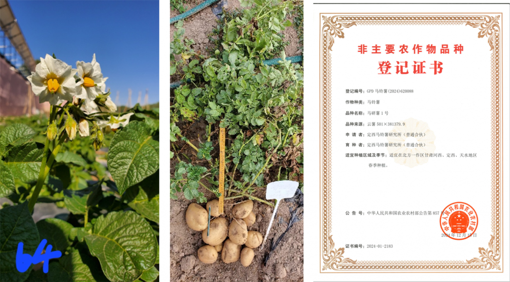 图片上传尺寸-03