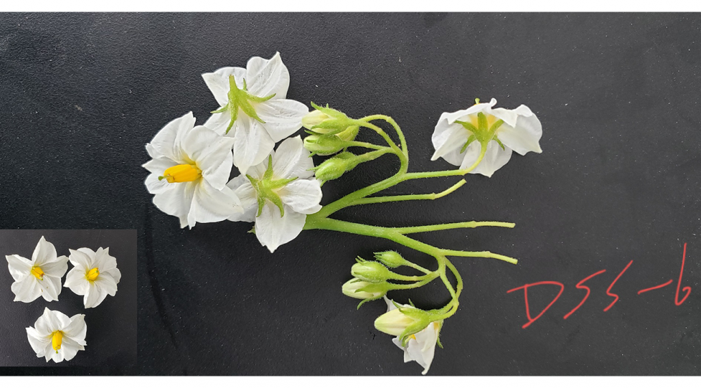 图片上传尺寸-03