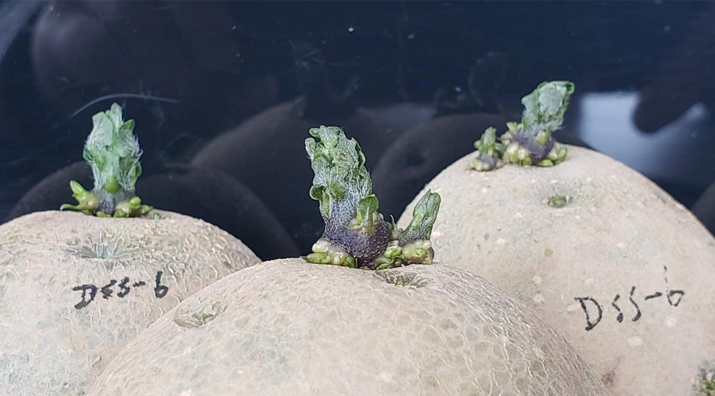 图片上传尺寸-04