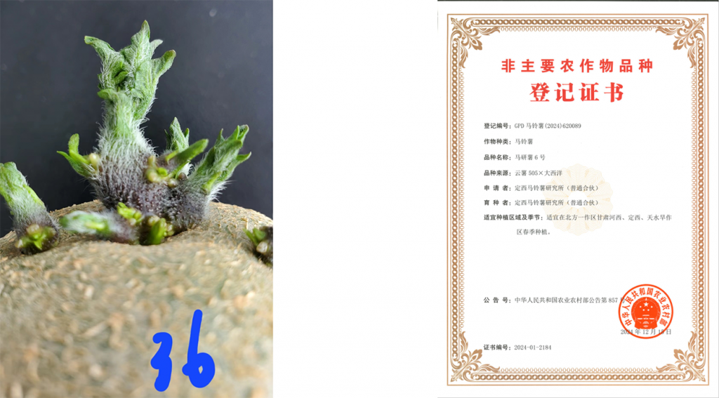 图片上传尺寸-04