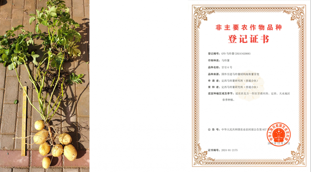 图片上传尺寸-05